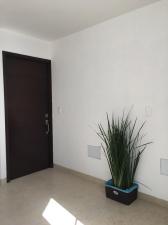 Departamento en Renta en Benito Juárez, Distrito Federal  - Foto 44